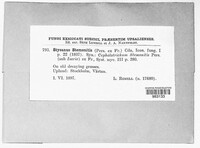 Image Associated With the Occurence